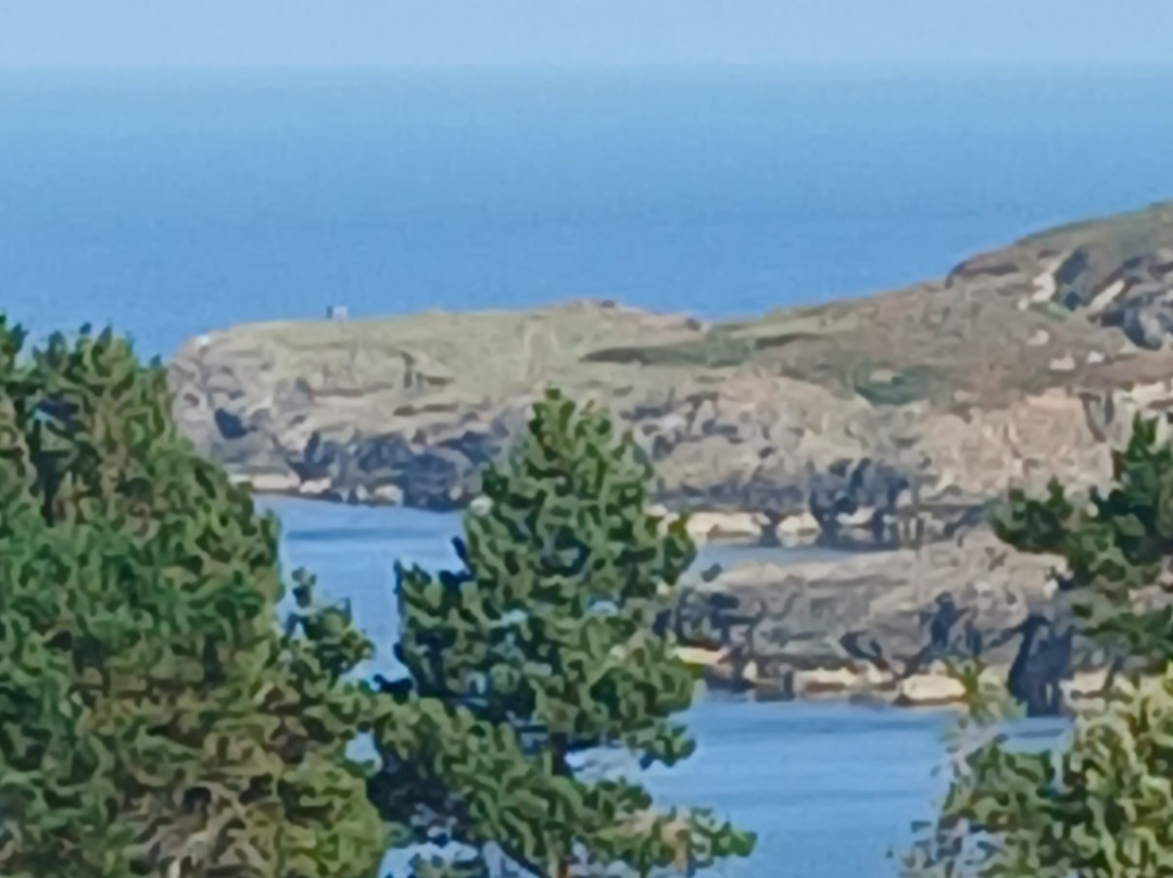 Wicklow Golf Club-Wicklow必去景点