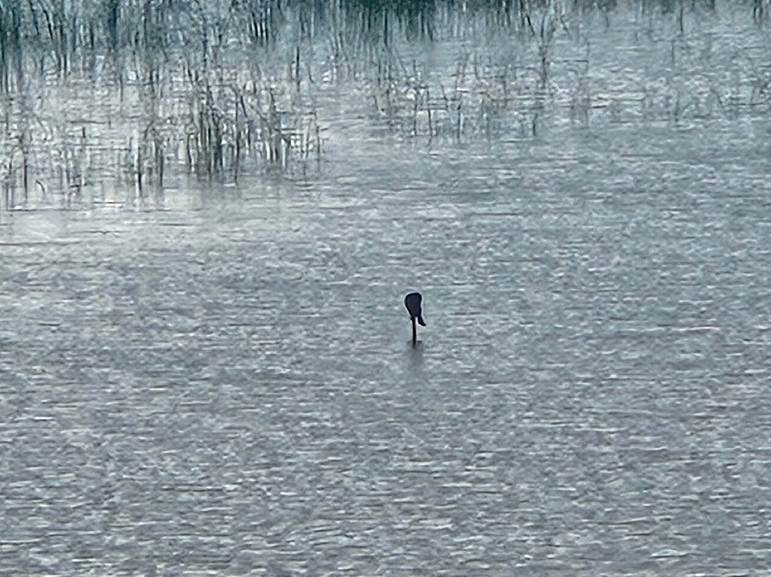 Vransko Jezero Nature Park-奥格勒纳莫鲁必去景点