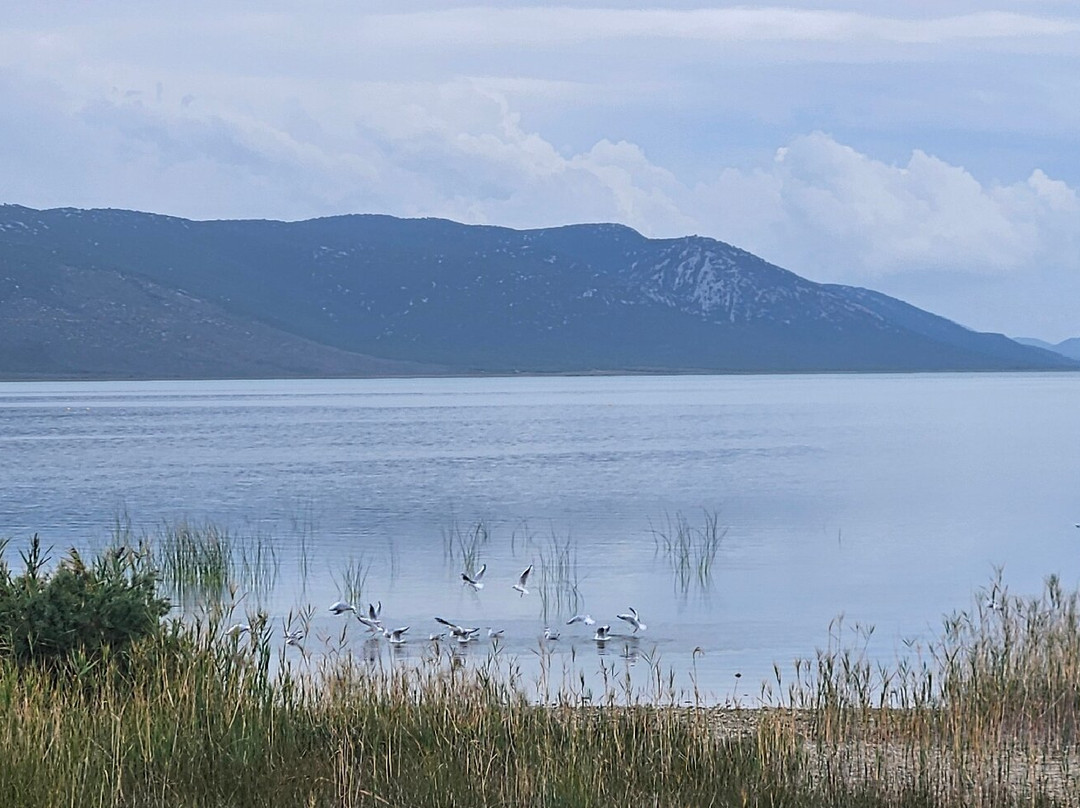 Vransko Jezero Nature Park-奥格勒纳莫鲁必去景点