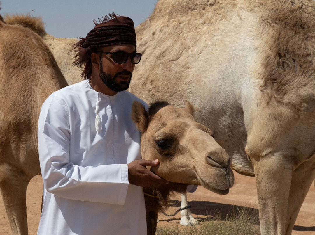 Desert Camels Adventure Tours-尼日瓦必去景点