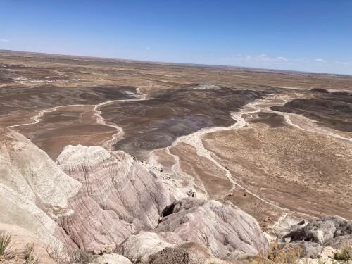 Historic Blue Forest Trail-霍尔布鲁克必去景点