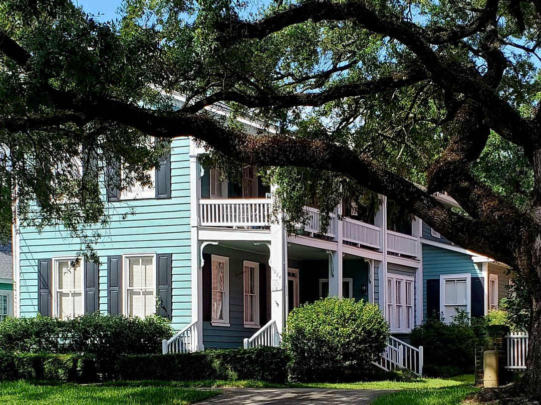 Swamp Fox Tours-乔治敦必去景点