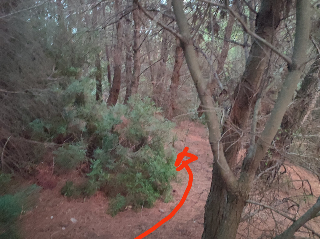 Baia del Buon Dormire-Faracchio必去景点