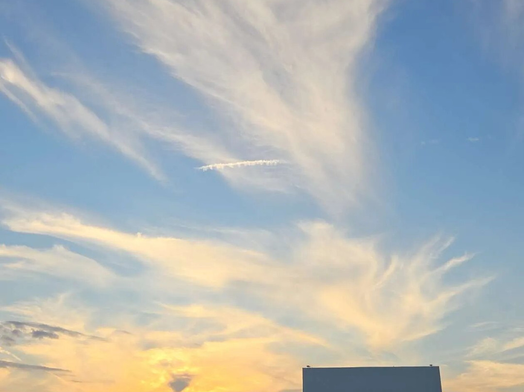 Harvest Moon Twin Drive-in Movie Theatre-Gibson City必去景点