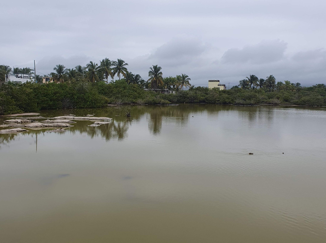 Laguna Salinas-维里亚米尔港必去景点