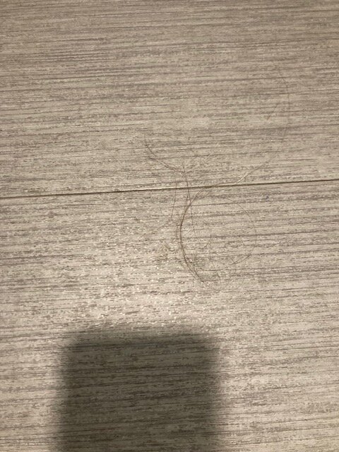 Holiday Inn Express & Suites Chambersburg By IHG-客卧