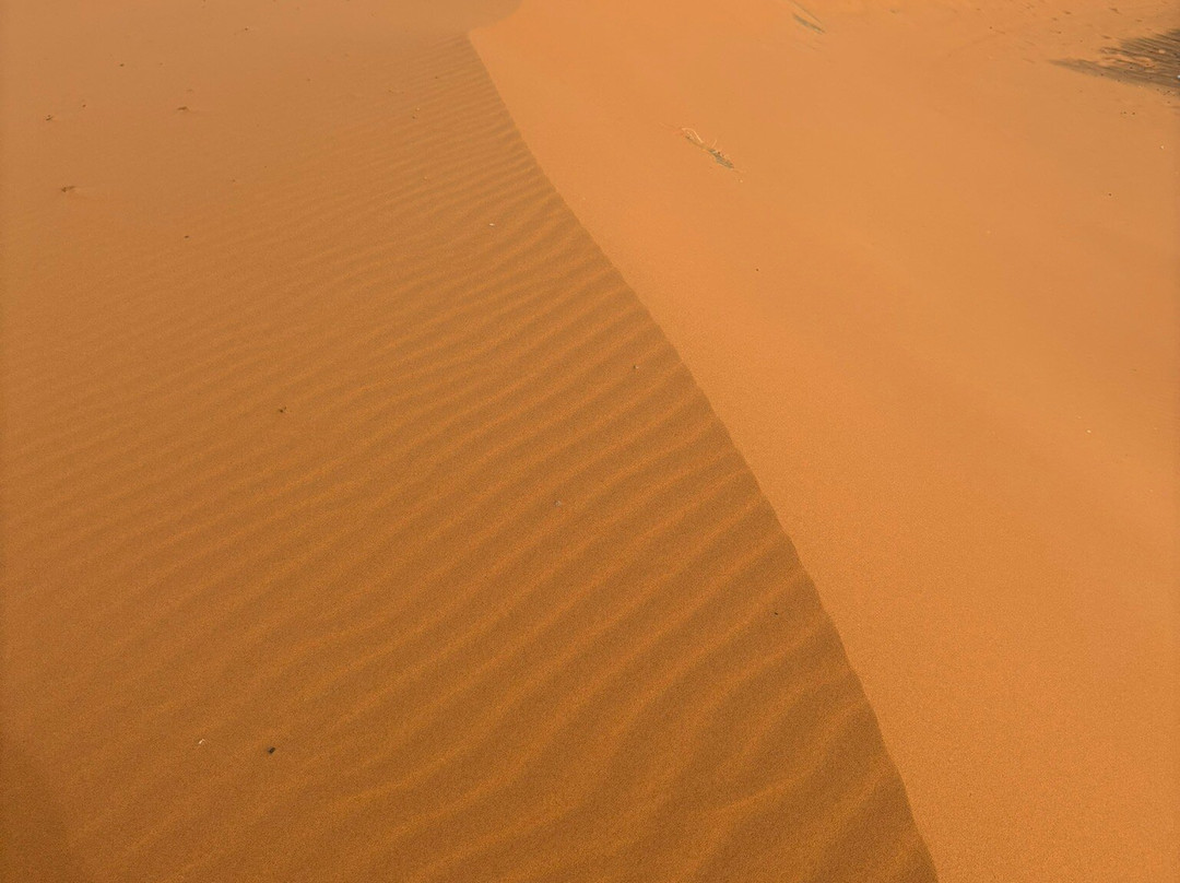 Morocco Arukikata Private Tours-舍夫沙万必去景点