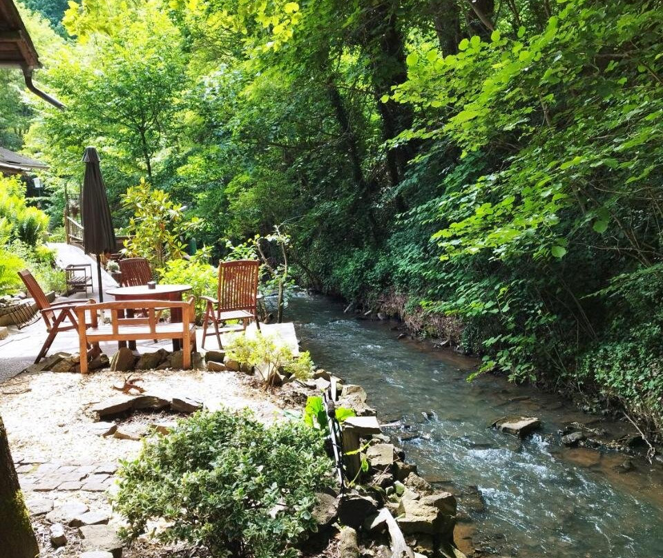 Schmökermühle主图