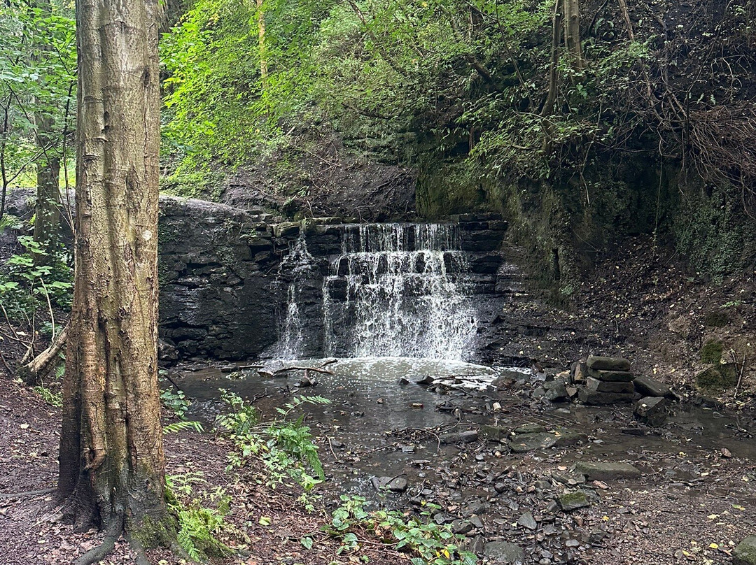 Pittencrieff Park-丹弗姆林必去景点