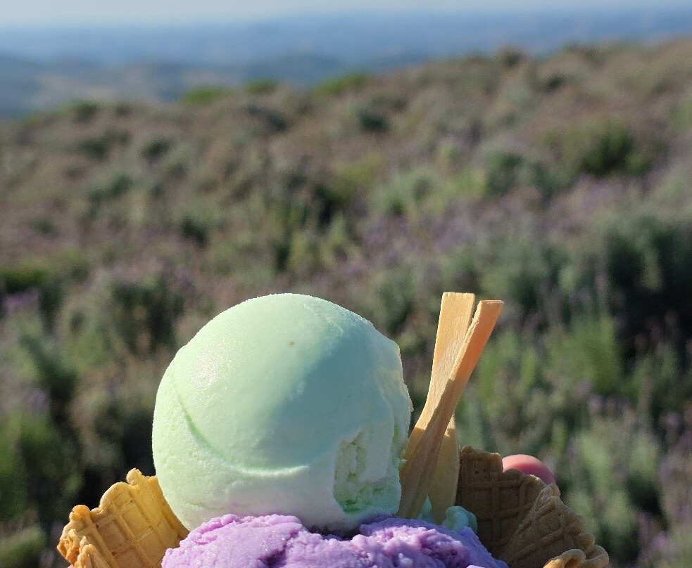 Lavandario-Cunha必去景点