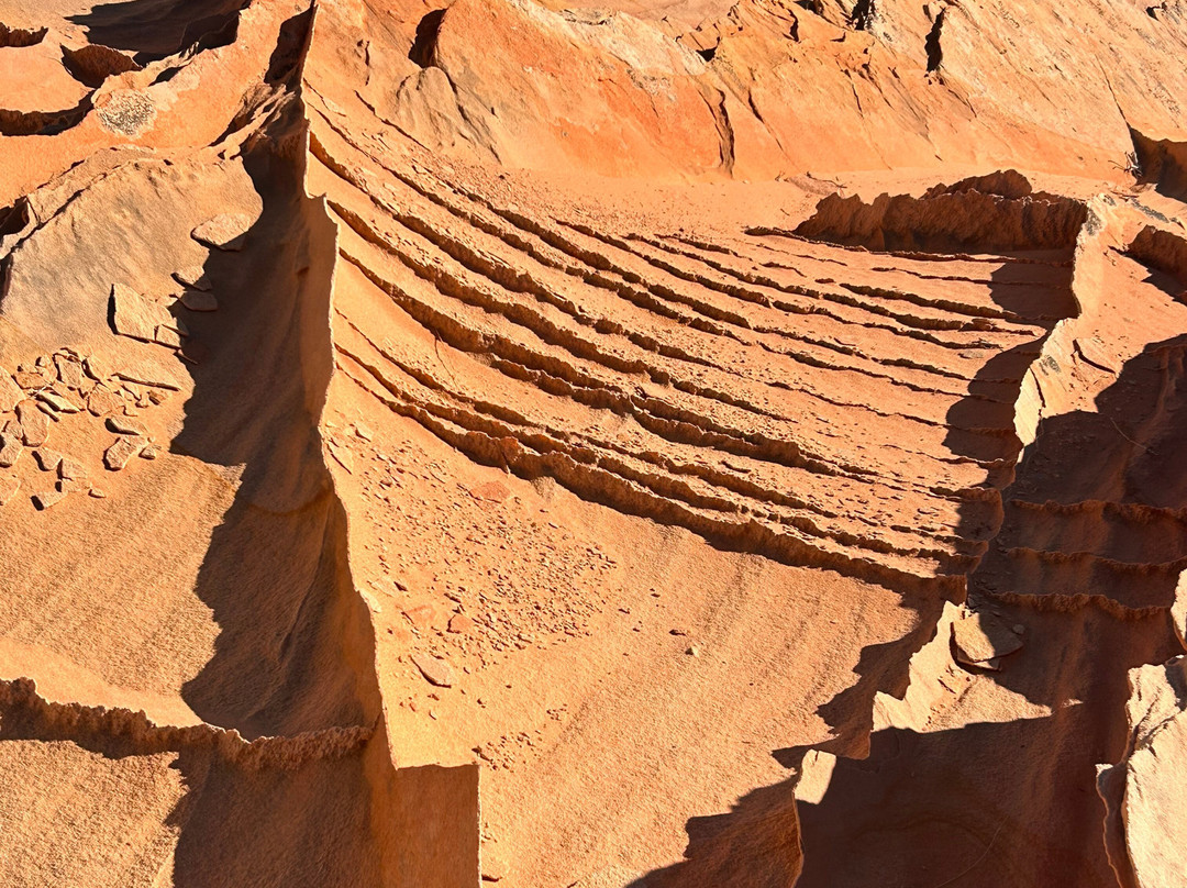 Paria Outpost and Outfitters-比格沃特必去景点