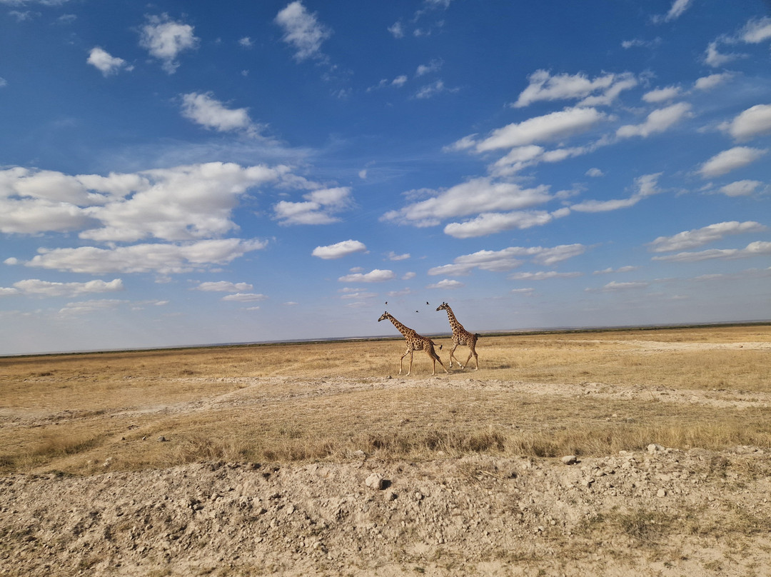 Amboseli Bush Camp