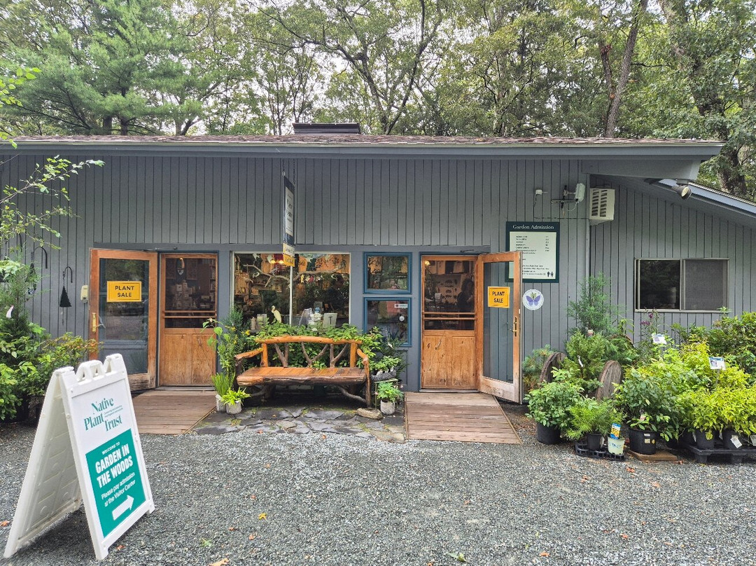 New England Wild Flower Society Garden in the Woods-弗雷明汉必去景点
