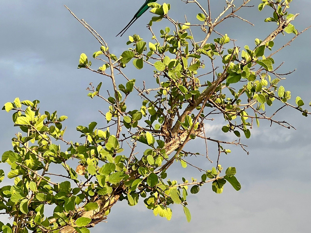 Gametrackers-Rongai必去景点