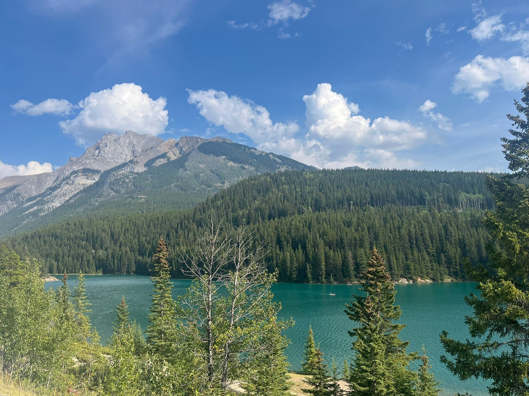 Open Top Touring Banff-班夫必去景点