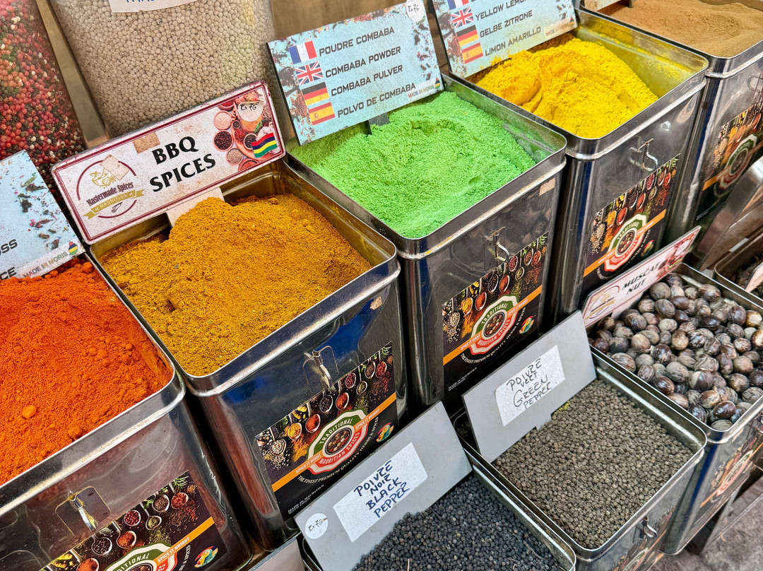 Antonio Taxi Mauritius-Palmar必去景点