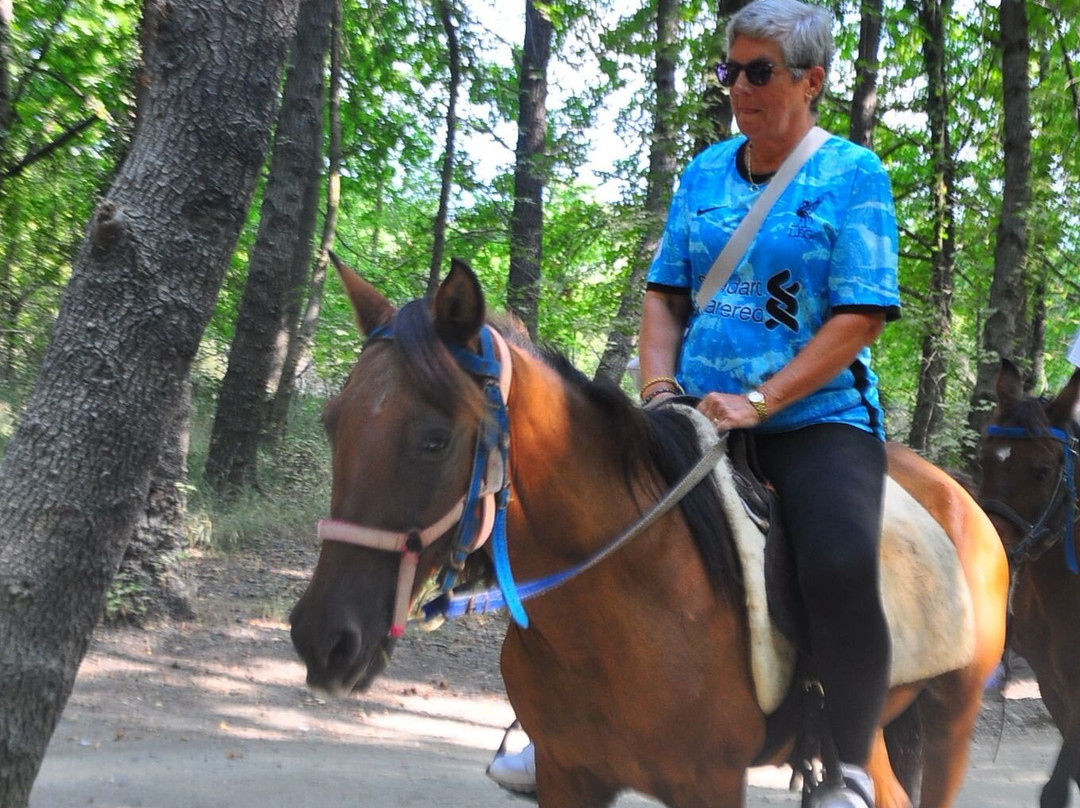 Hamish McTurk-Tours-费特希耶必去景点