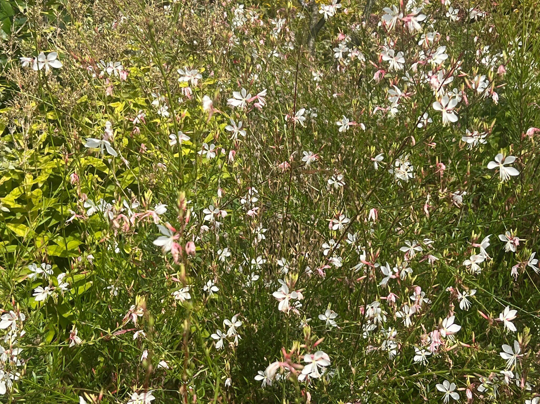 Holiday Inn Cleveland-Mayfield by IHG主图