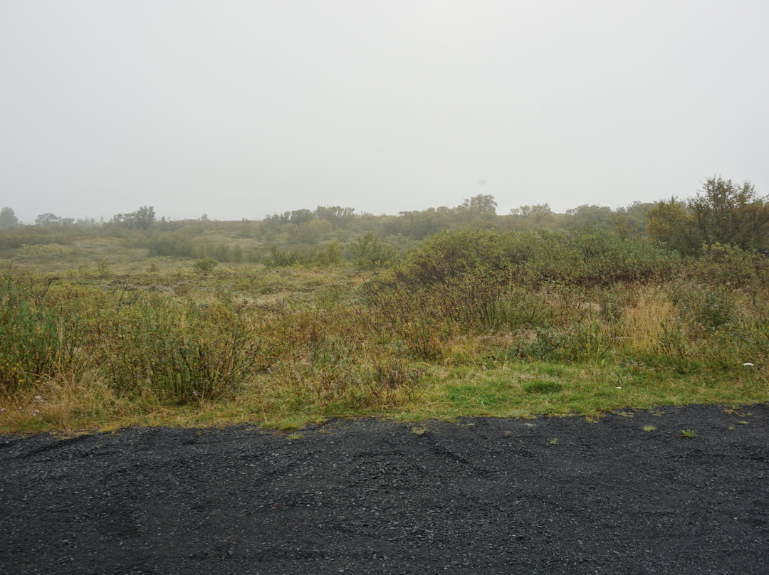 Dettifoss Guesthouse主图