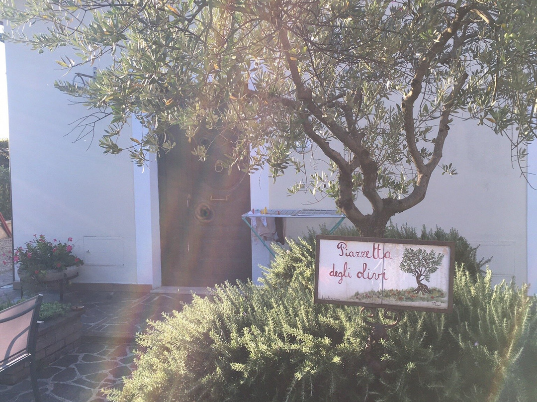 Residence Terra Dei Santi Country House主图