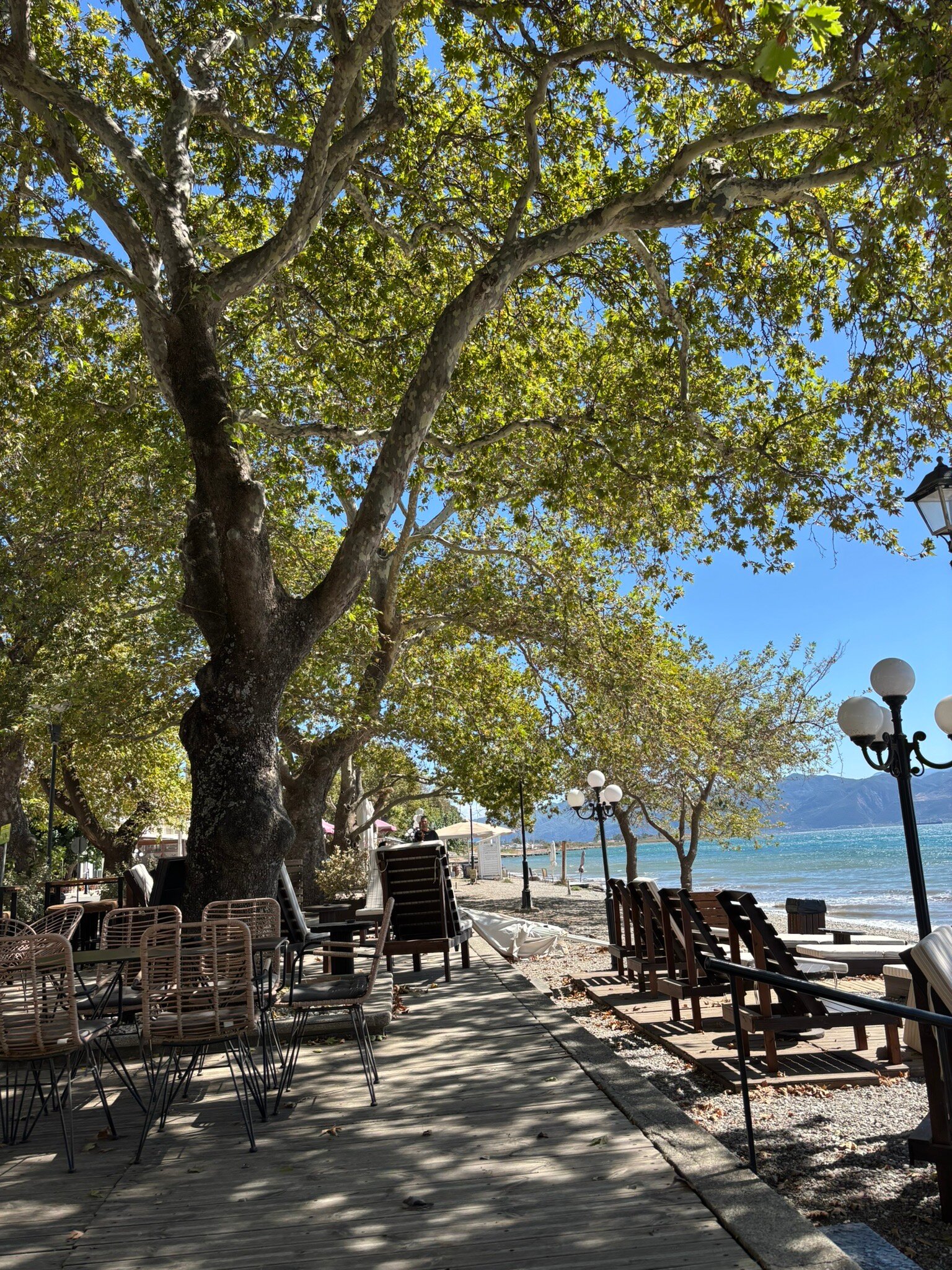 Lepanto Beach Hotel-官方