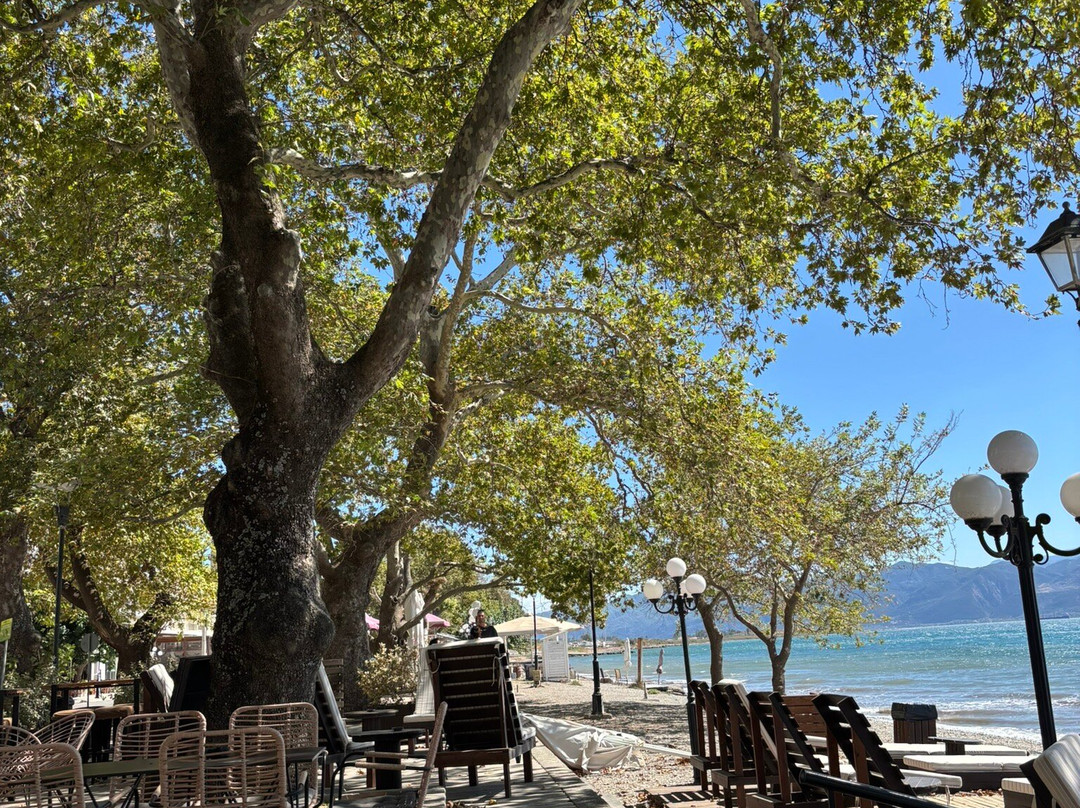 Lepanto Beach Hotel主图