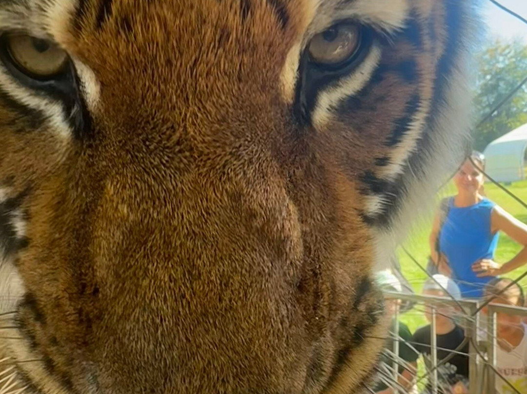 Krone Farm-Wessling必去景点