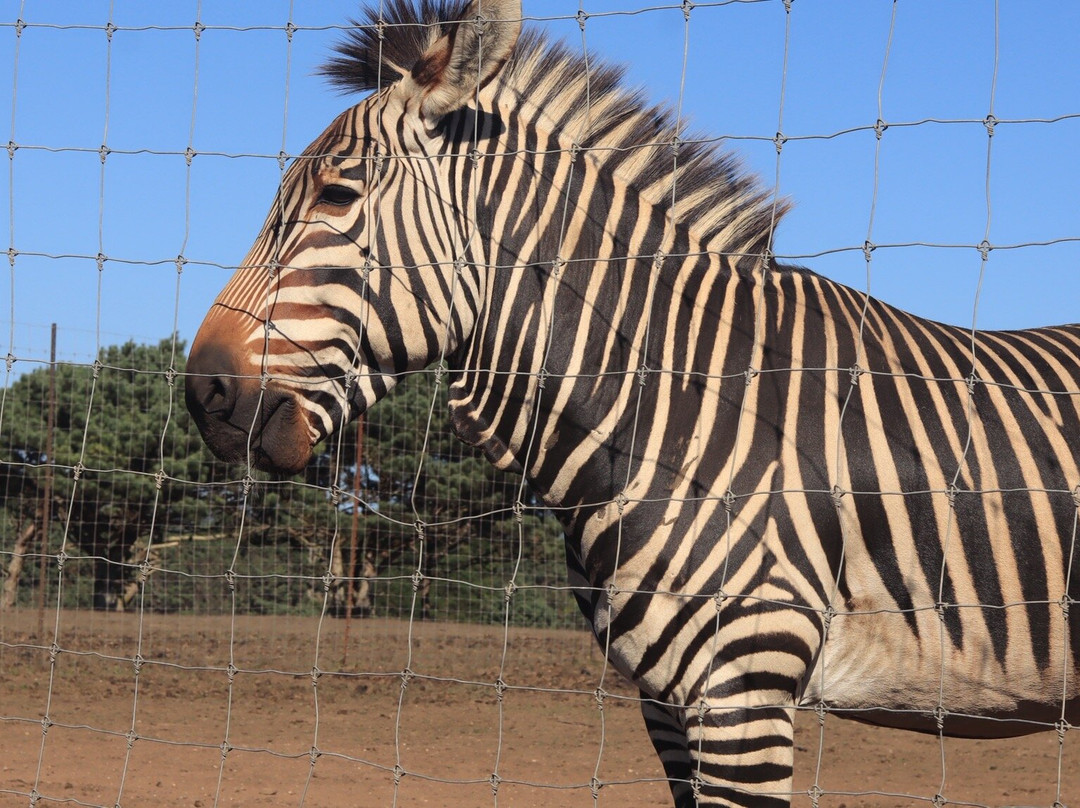B Bryan Preserve-Point Arena必去景点