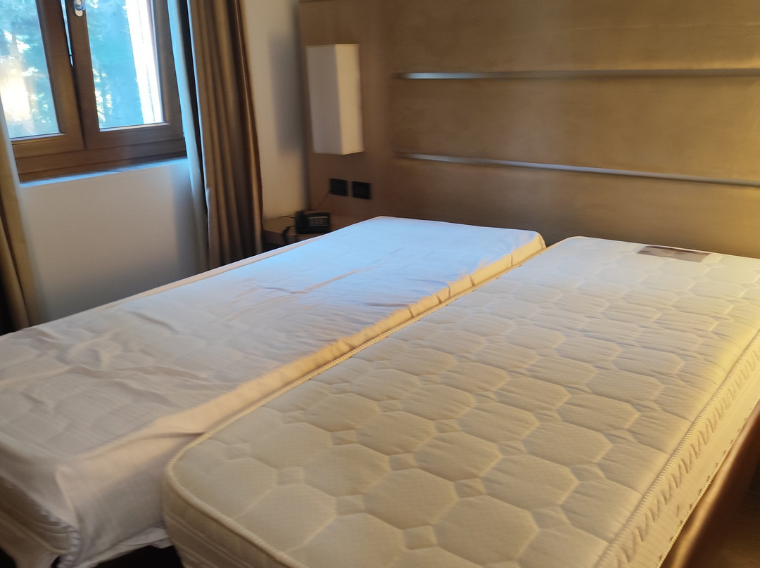 Parco dei Pini - Sila Wellness Hotel主图