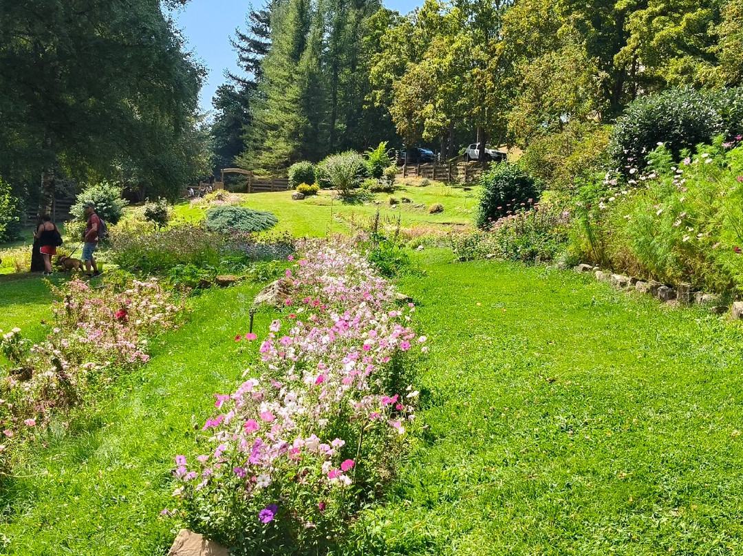 Parco dell'Orecchiella-San Romano in Garfagnana必去景点