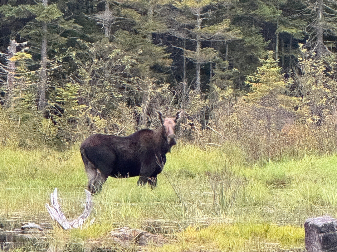 Northwoods Outfitters-Greenville必去景点