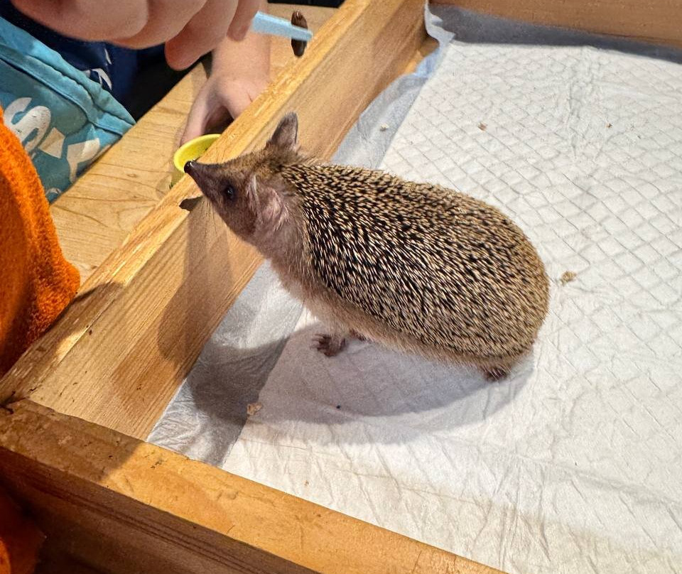 Yezheminutka-莫斯科必去景点