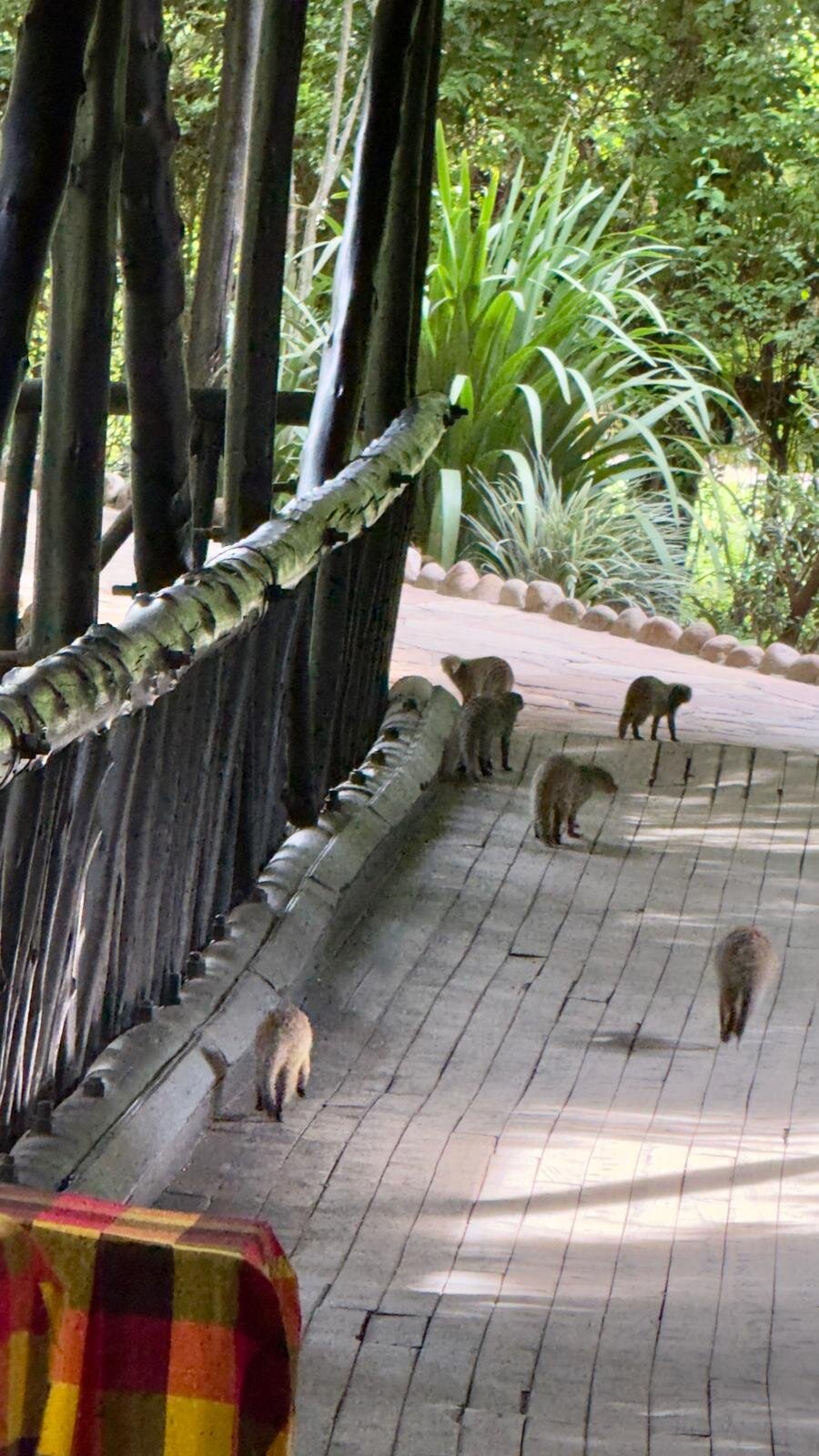 萨罗瓦玛拉野生宿营地-浴室