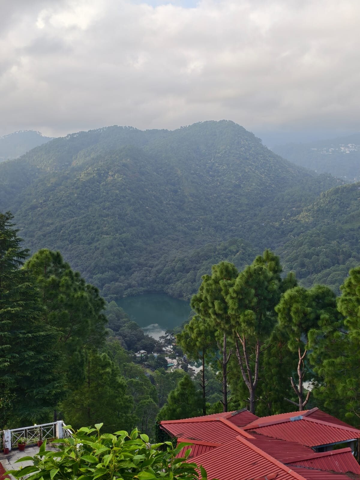 Sattal Forest Resort-官方