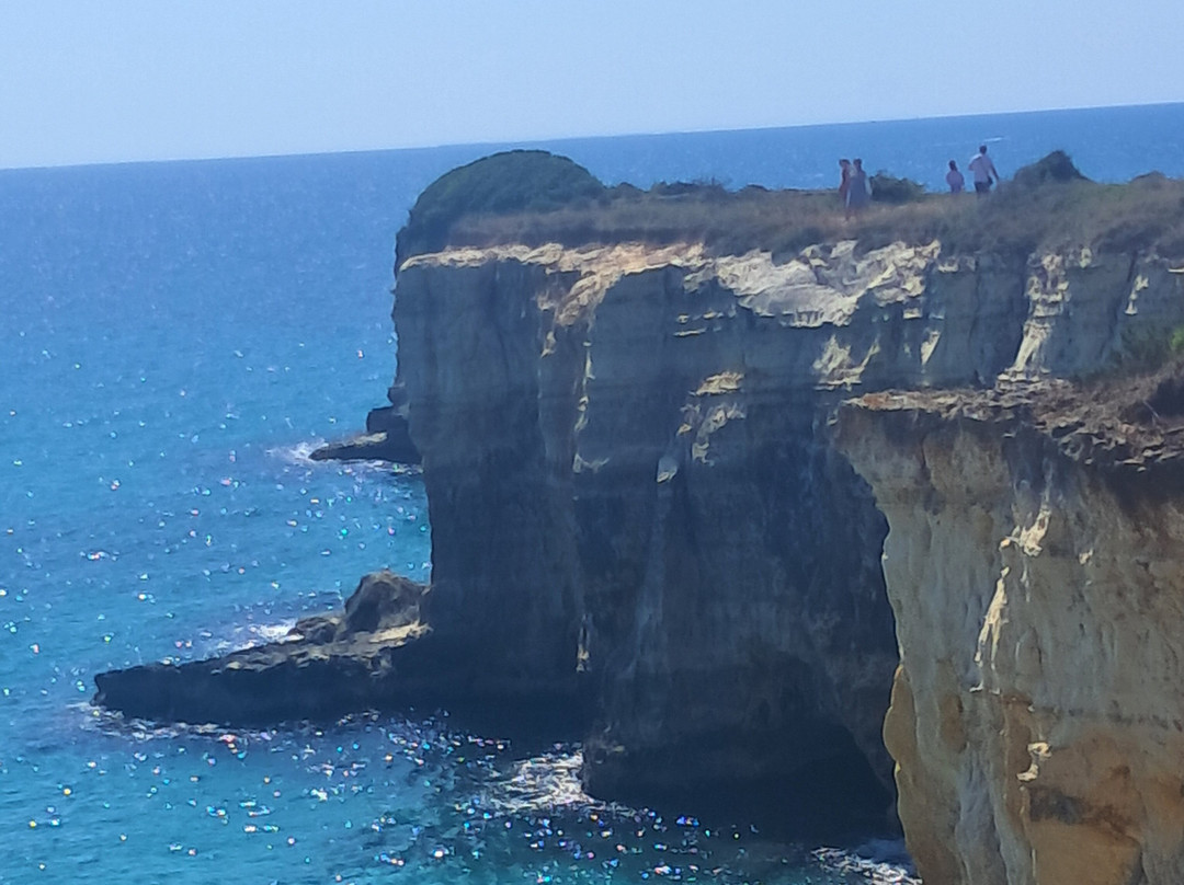 Marelive - CDSHotels主图