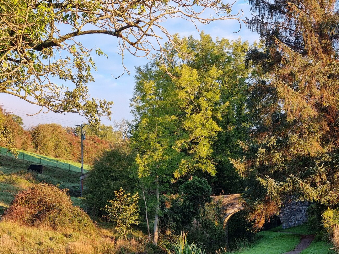 Llanddetty Hall Farm主图