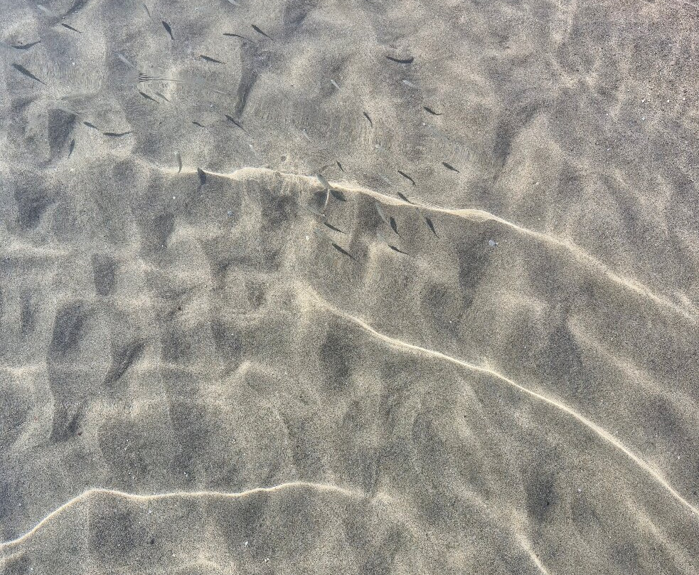 Paradise Beach-Kós必去景点