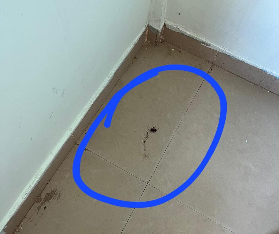 Star Inn Resort主图