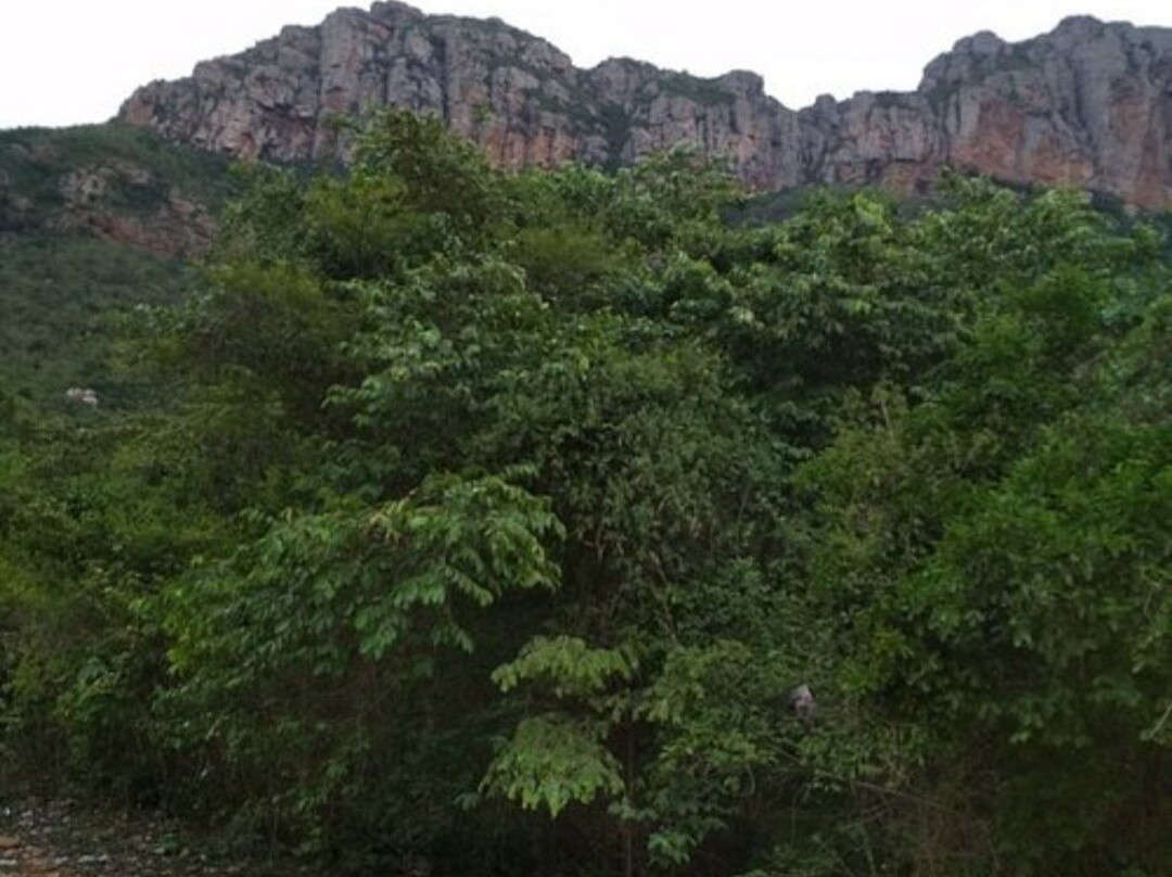 Sri Bhaktha Kanteswara Swamy Temple-Srikalahasti必去景点