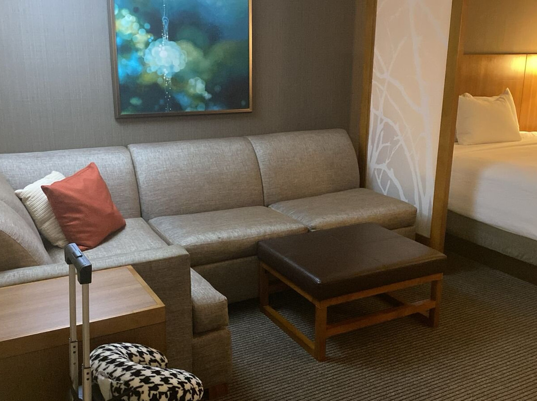 Hyatt Place Detroit / Novi主图
