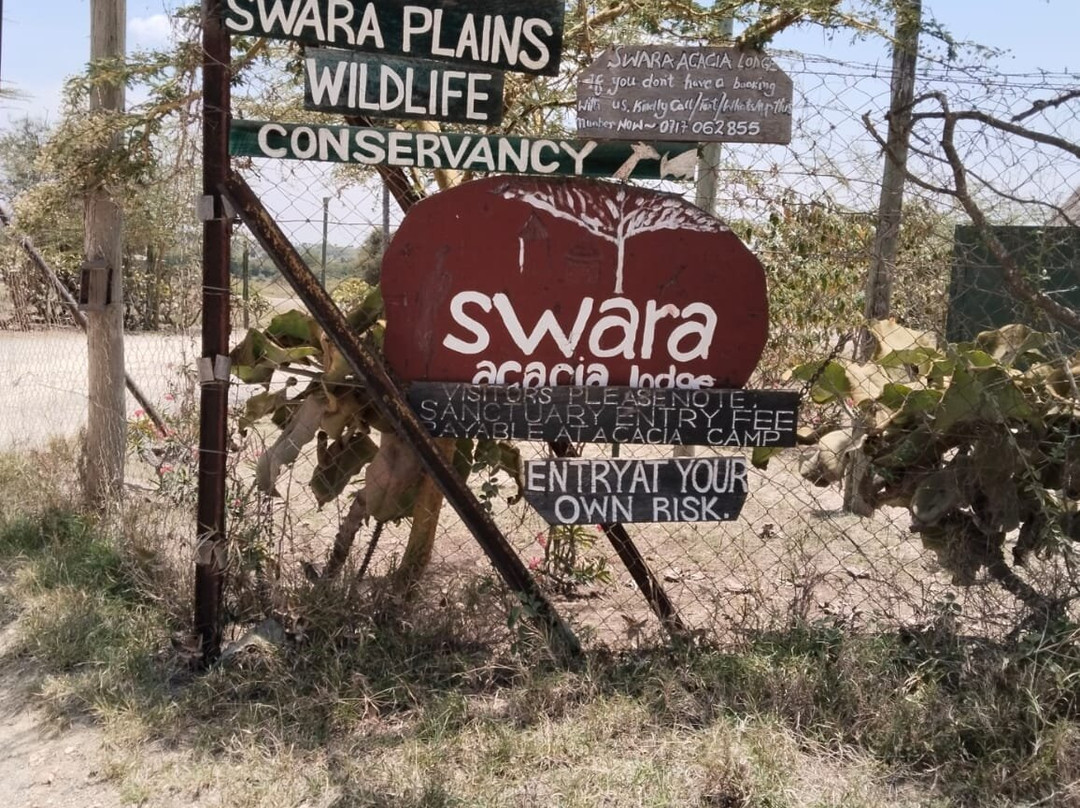 Severius Adventures And Travels