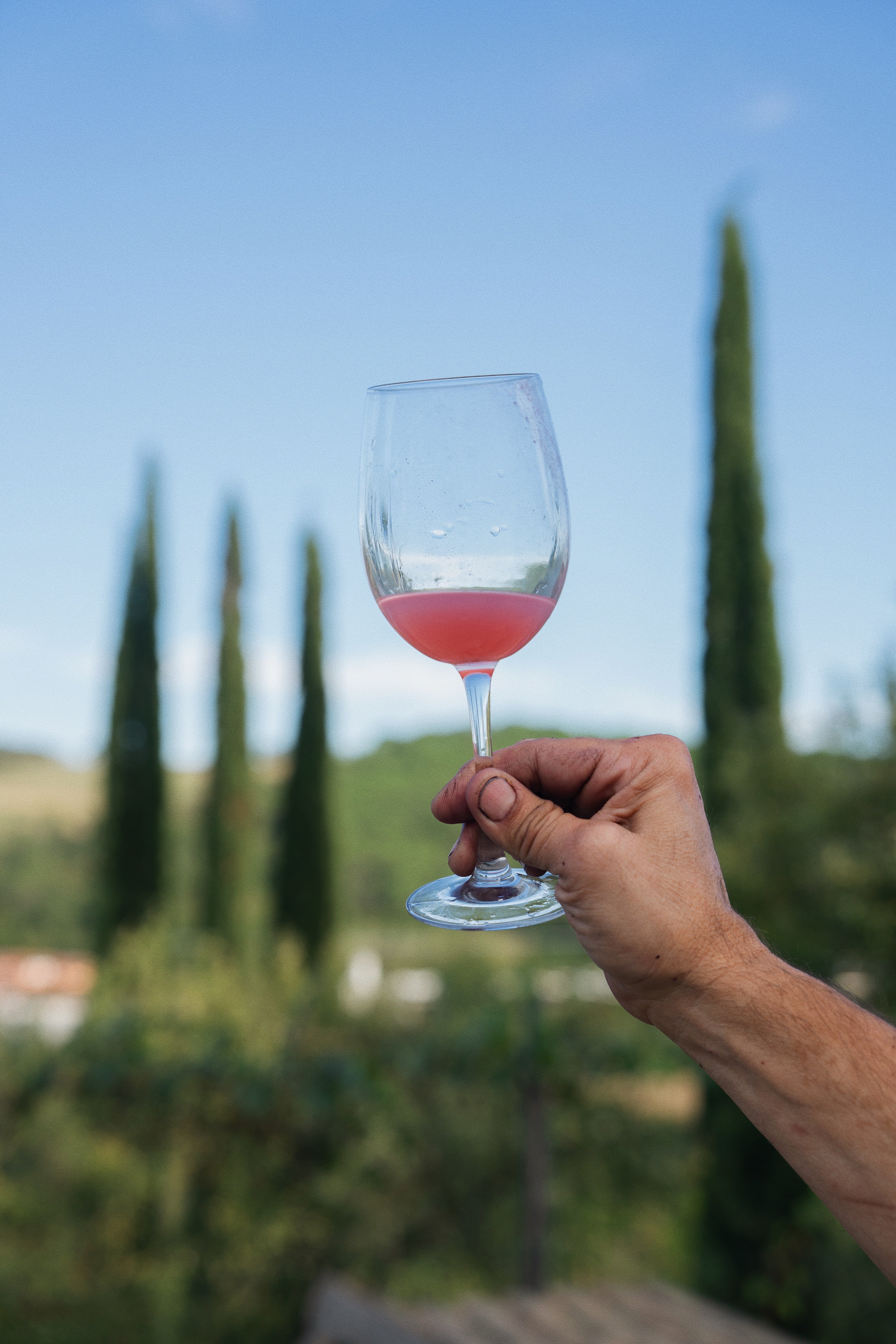 Podere Dell'Anselmo-官方