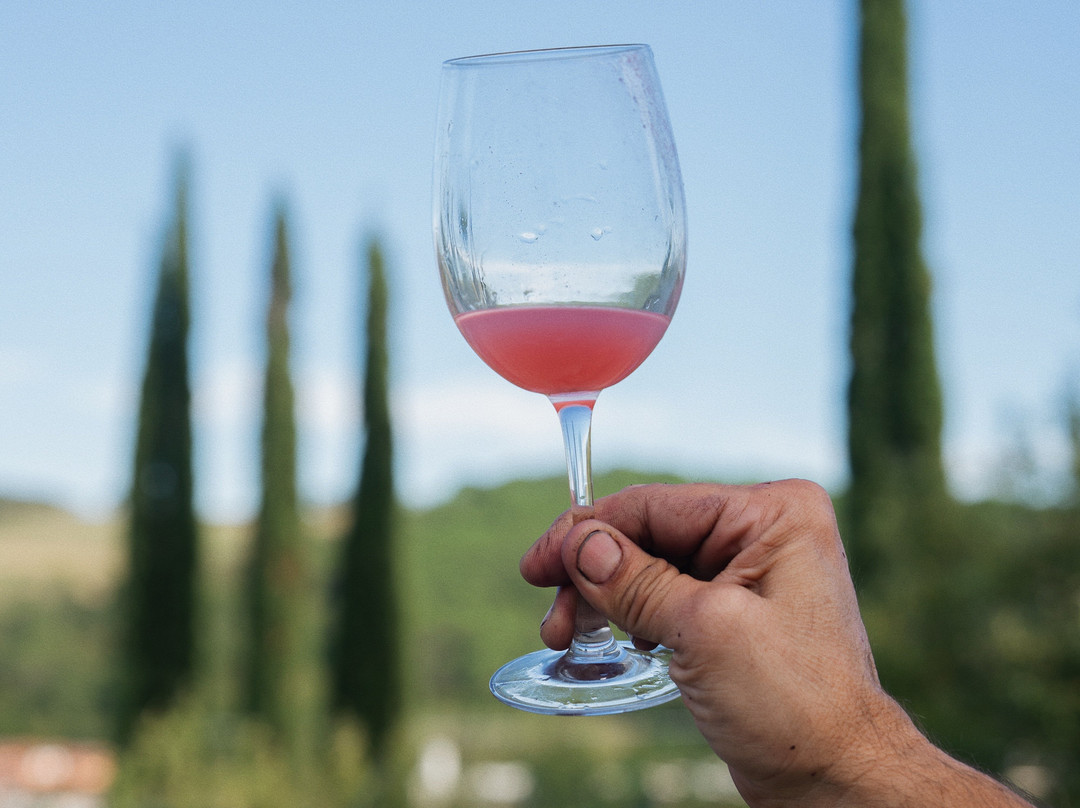 Podere Dell'Anselmo主图