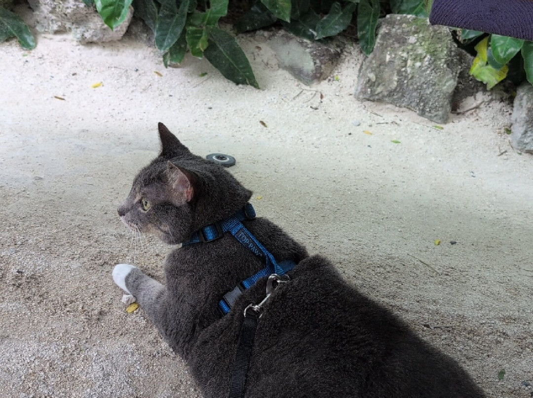 Florida Keys Brewing Company-伊斯拉摩拉达必去景点