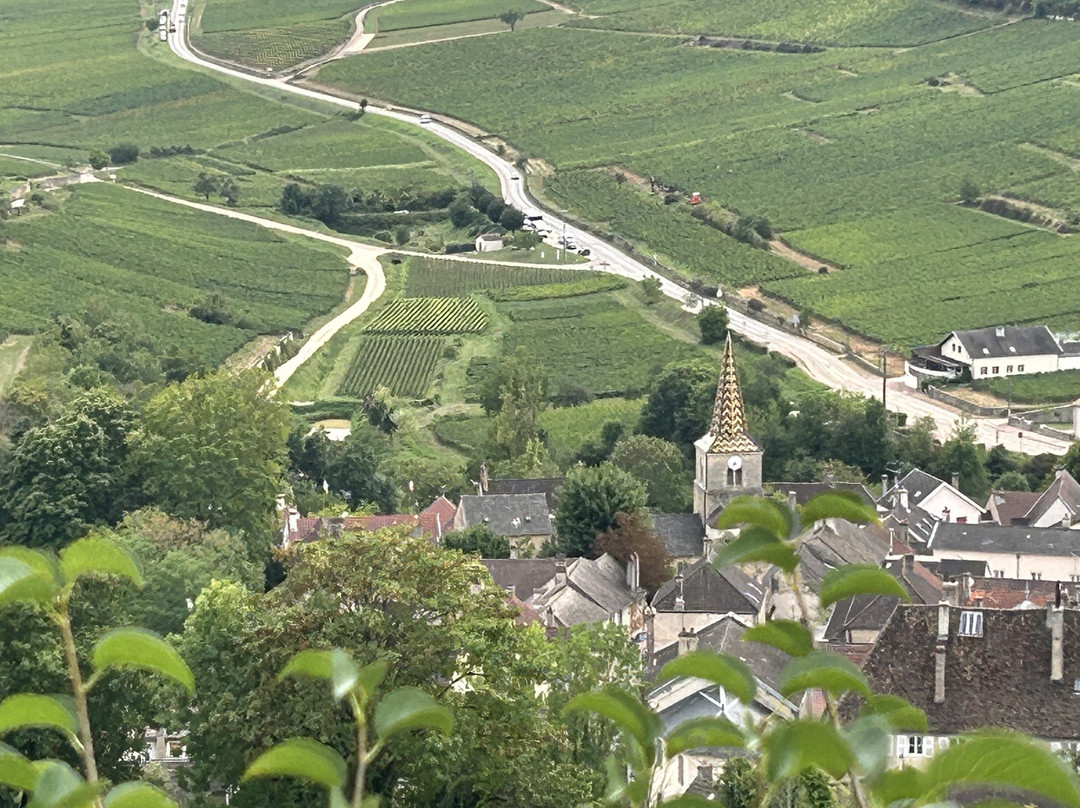 Wine Way Burgundy-Vosne-Romanee必去景点
