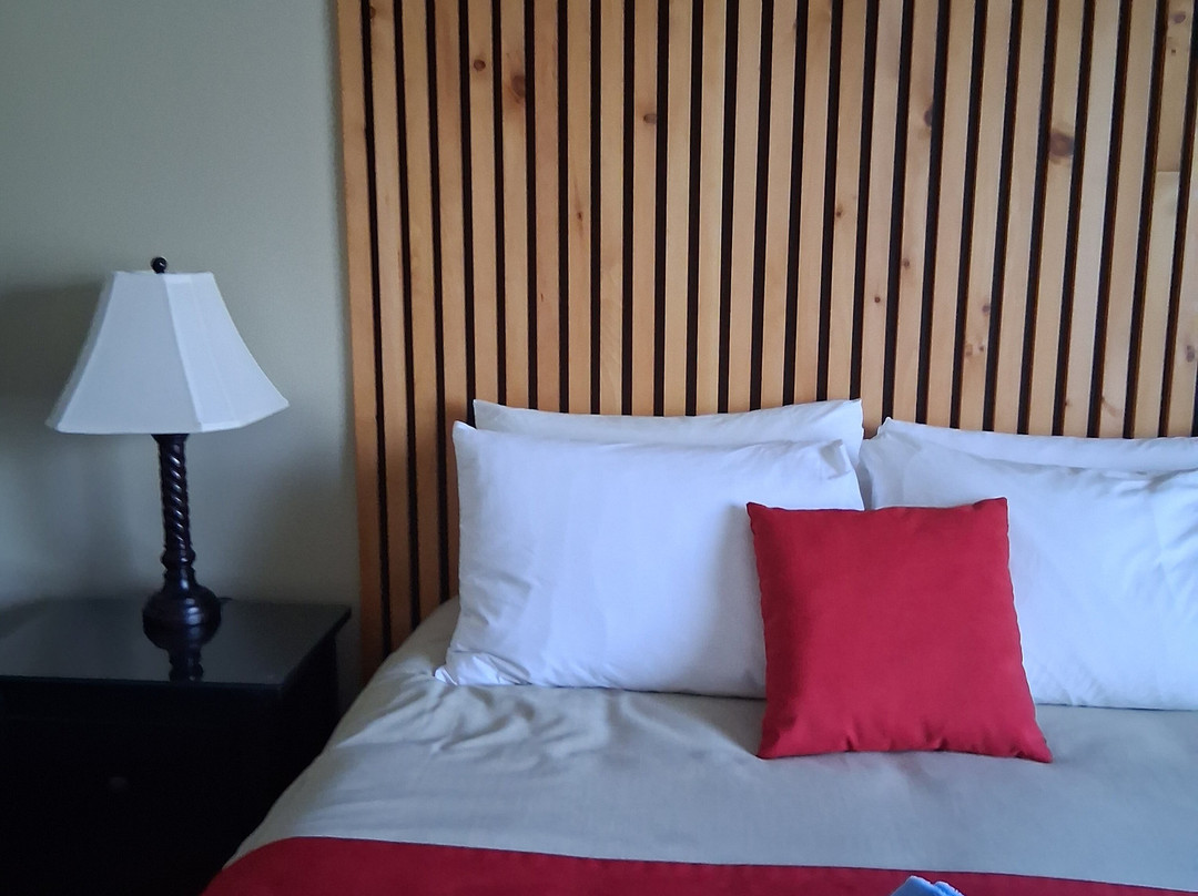 Auberge Aux Quatre Matins主图