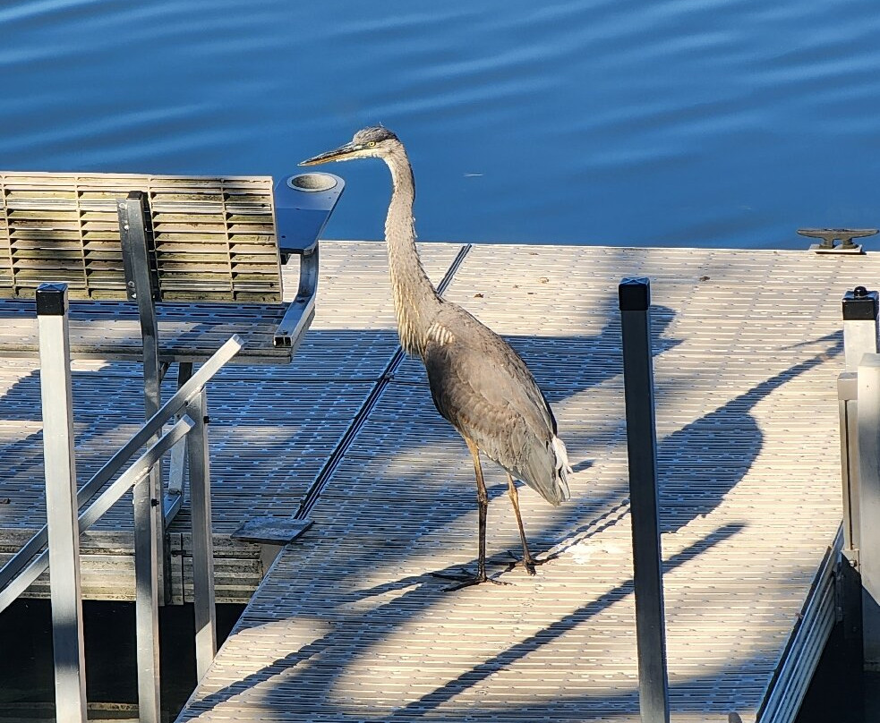 Curriers Lakeview Lodge主图