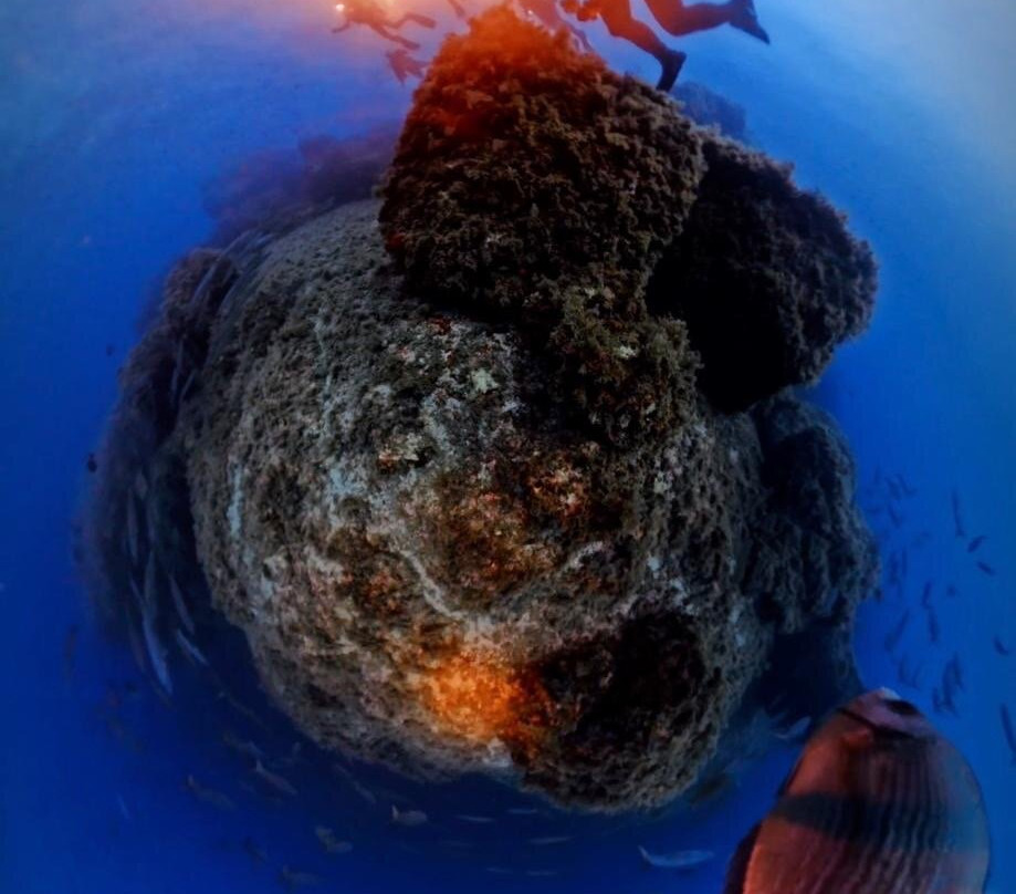 Sea Horse Scuba Diving Centre-圣安东尼德波特曼尼必去景点