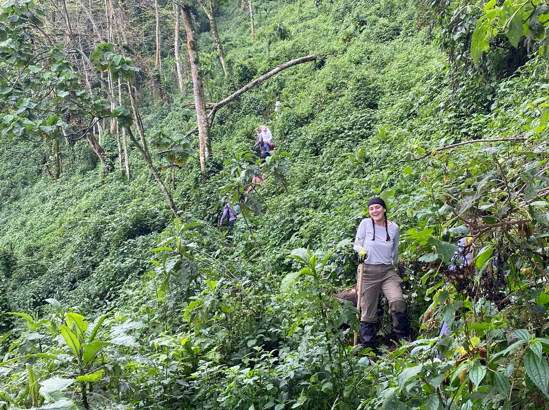 Mission Africa Safaris-Ruhengeri必去景点