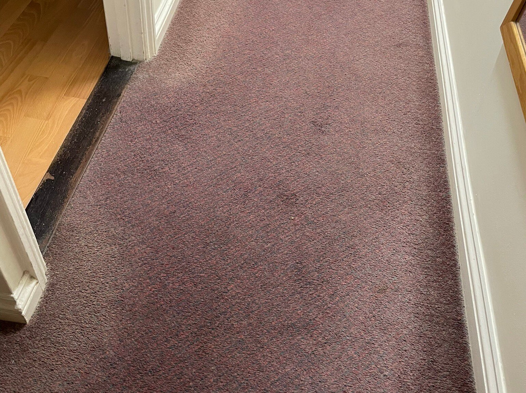 赫里博恩阿尔顿别墅酒店主图